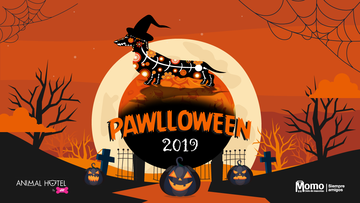 Pawlloween 2019 evento Momo mascotas
