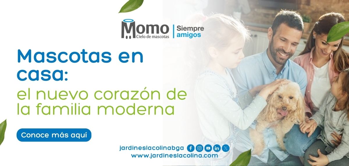 Mascotas en casa: el nuevo corazón de la familia moderna