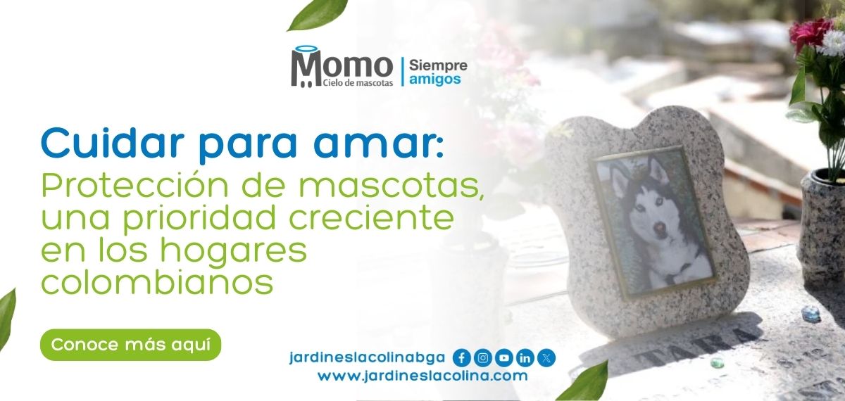 Cuidar para amar: Protección de mascotas, una prioridad creciente en los hogares colombianos